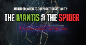 mantis spider ft im (1)